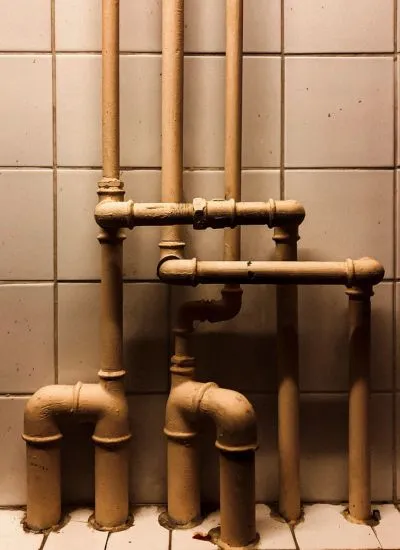 1 (24)